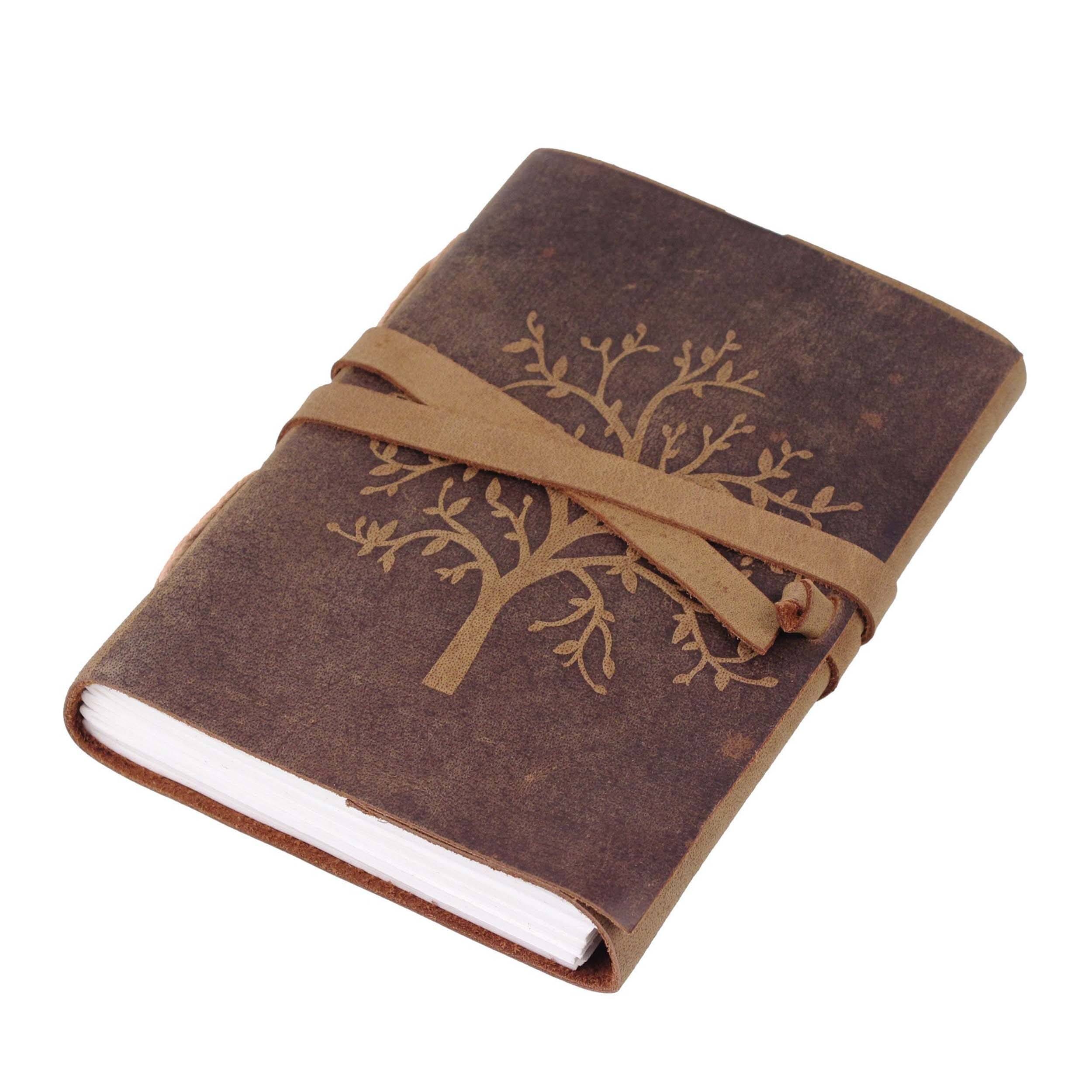 The Sapling Notebook